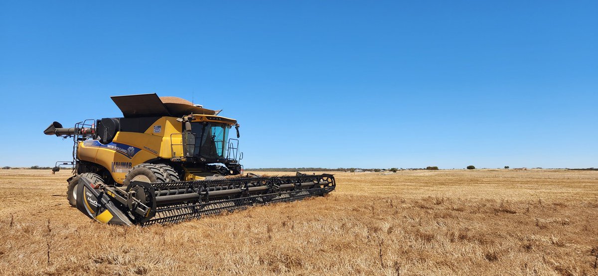 Kalimar Ag tweet media