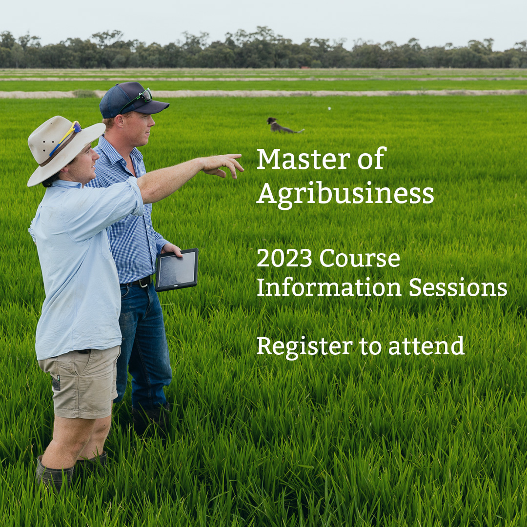 Interested in studying a Master of Agribusiness or Graduate Certificate of Agribusiness in 2023?

Join us on the 8th of December for a course information session and learn where postgraduate study at Marcus Oldham could take you. 

Register now at marcusoldham.vic.edu.au/master-of-agri…
