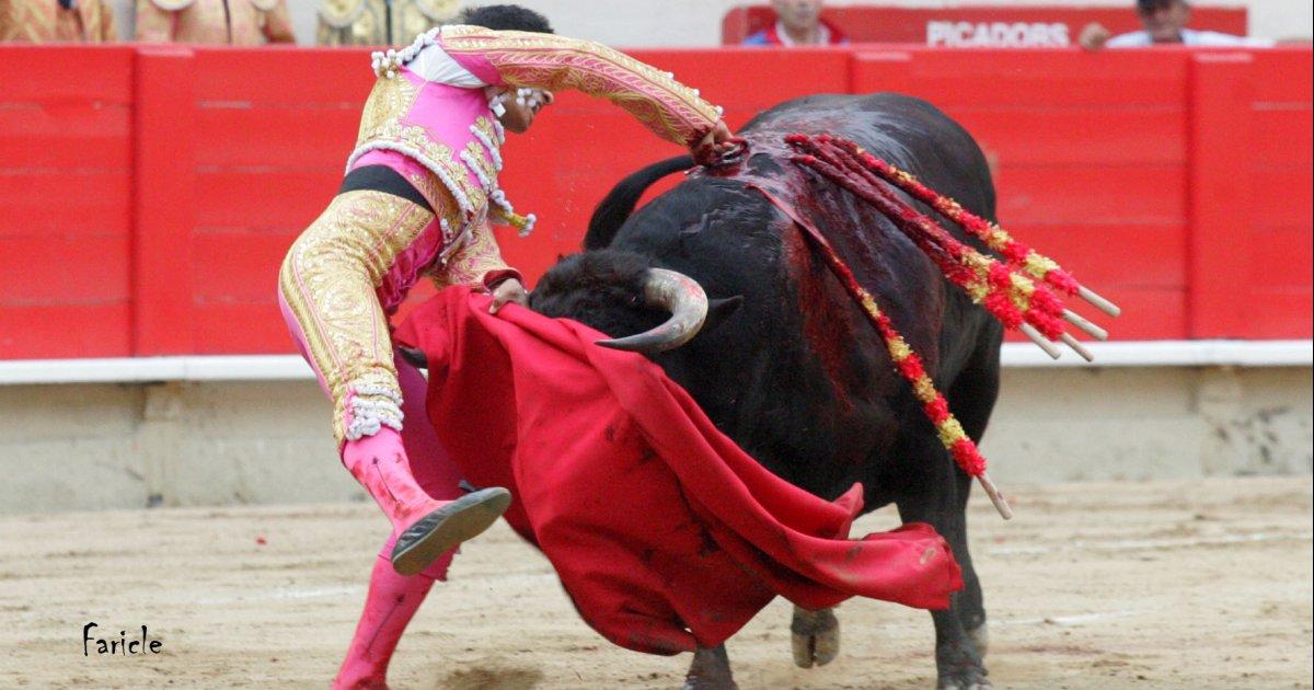 No Más Festejos Taurinos #DerechoAnimal ▶ svox.org/ct6j