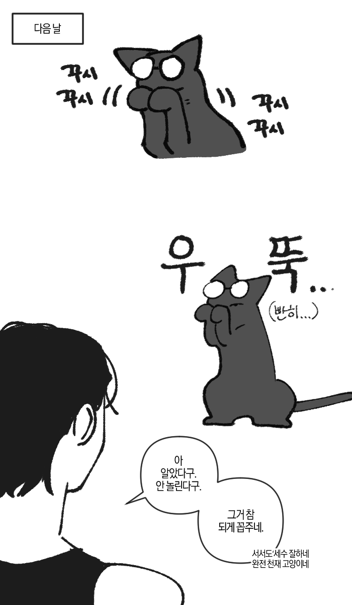 Geuller_svt's tweet photo. 밥 먹다가 생각난...
세수하는 전냥이 https://t.co/zxKgu8Srpp
