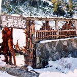 ツイートに含まれる画像