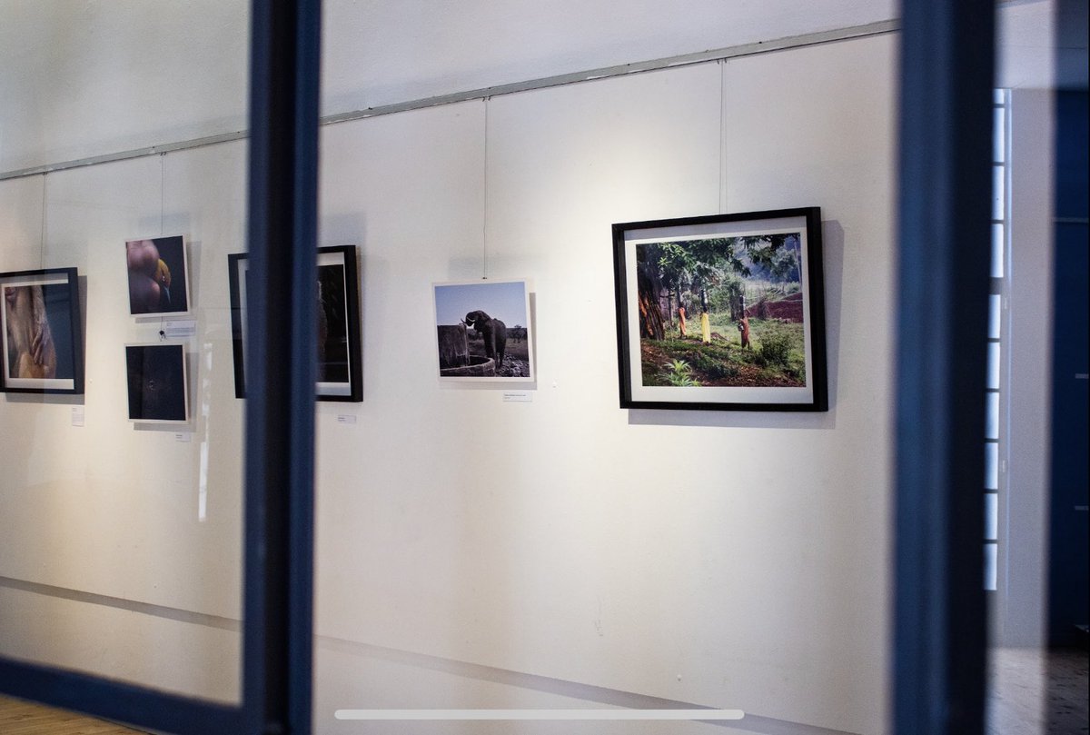 hereyesnature's tweet photo. The exhibition which will be running until the 14th of December features 23 artists from 15 different countries, including 8 from Africa.

The photographs are also available for sale at the Alliance Française Gallery, contact us for enquiries: naturethroughhereyes@gmail.com https://t.co/N1orAfta4P