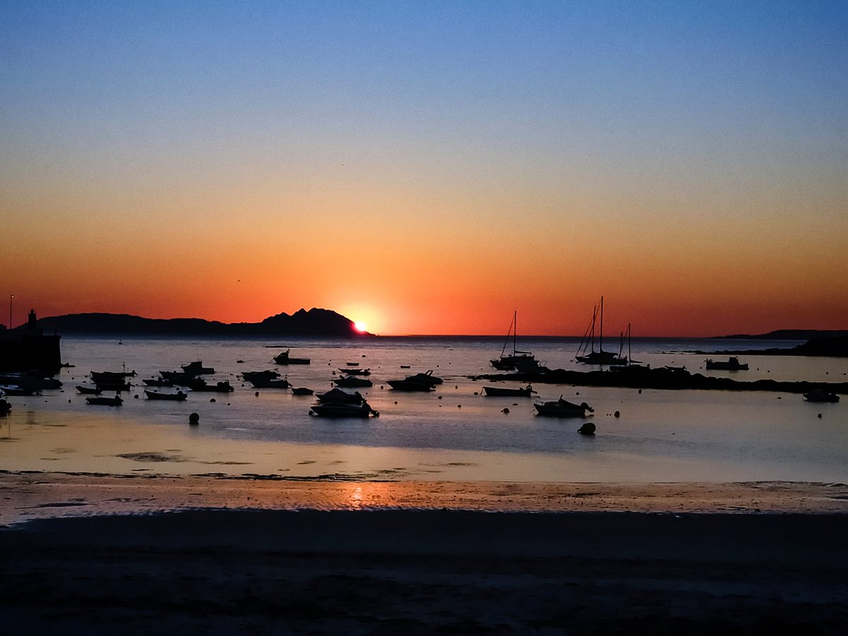 SaborealaV's tweet photo. Canido. Vigo

Si no vas por todo ¿A qué vas?.

 Bienvenido Diciembre... Siempre con amor y gratitud 🙏

    🤗Feliz jueves🤗 https://t.co/83KlaIwbJY