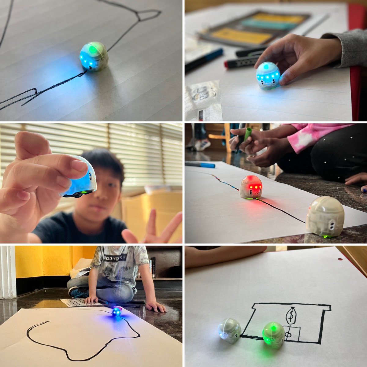 We can code our own adventures! Students imagining robot tales, through mountains high, volcanoes deep, weddings and bank heists #ozoCops #productivestruggle #resiliencythroughproblemsolving