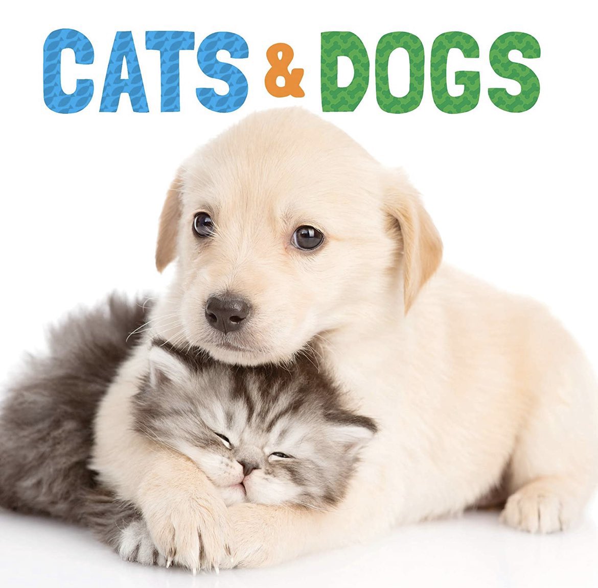 DomenicRavita's tweet image. If cats and dogs can do it, why can’t your transactions and analytics come together in a single database technology? Stop by booth #3630 at re:Invent to see how with @SingleStoreDB.

#aws #cloud #HTAP #Translytical #databases #OLTP #OLAP #reInvent2022 #realtime #data