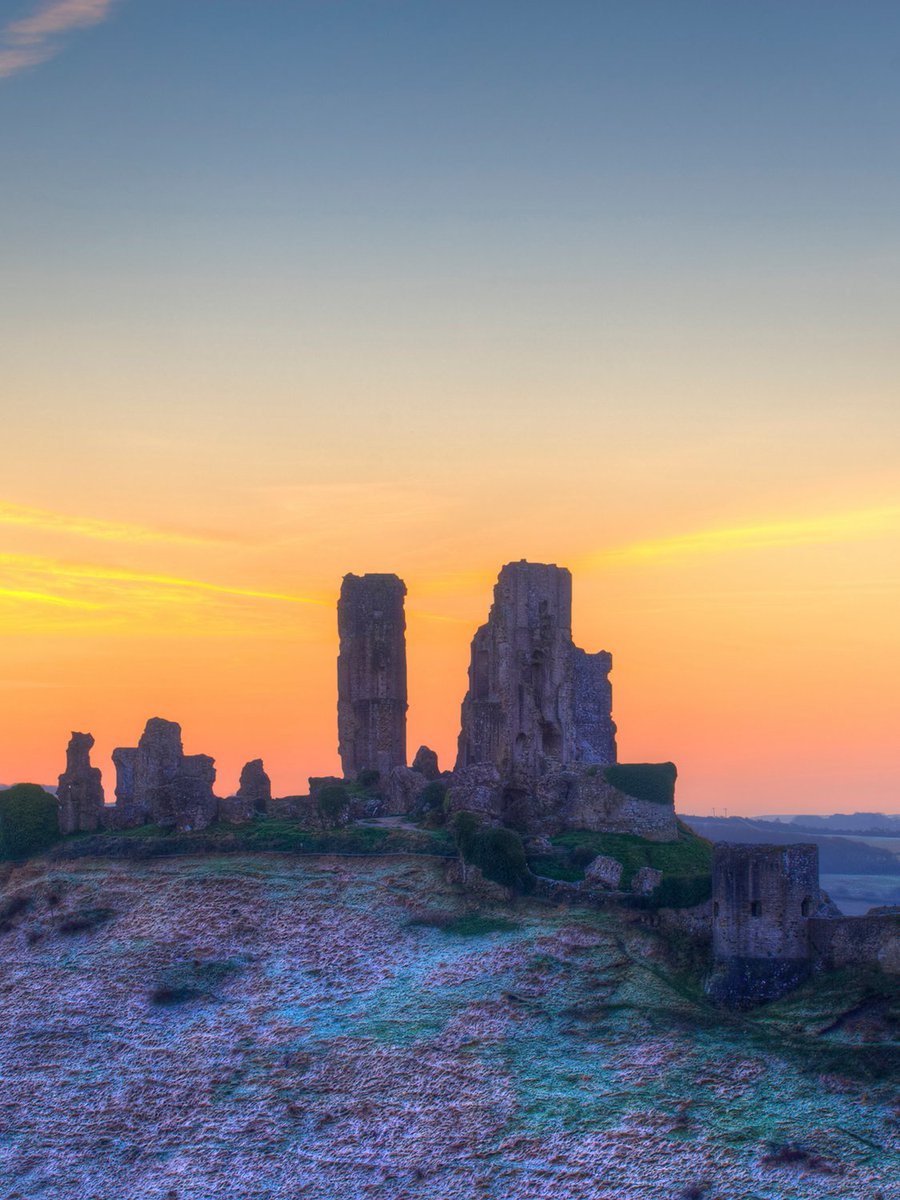 views_Icon's tweet image. View