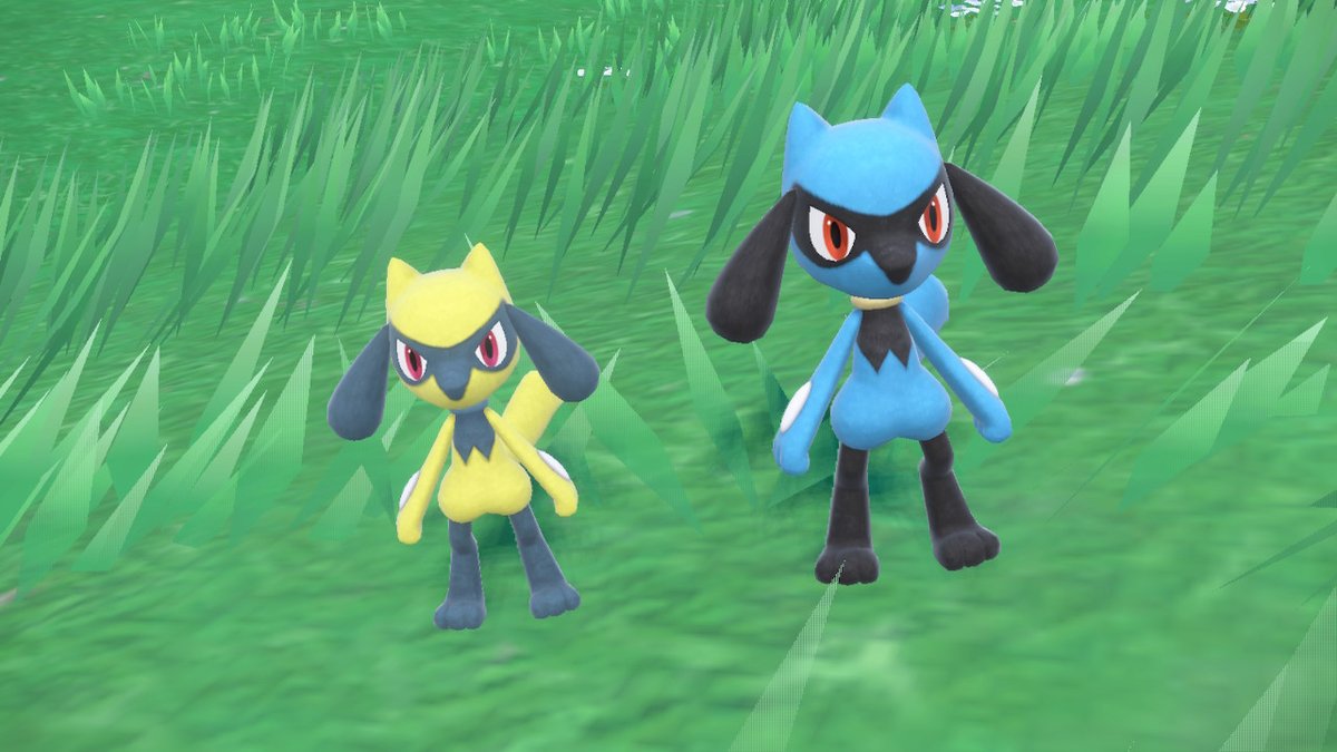 Shiny Riolu decides to be my 3rd shiny today, he know hes one of my favs! :D #Pokemon