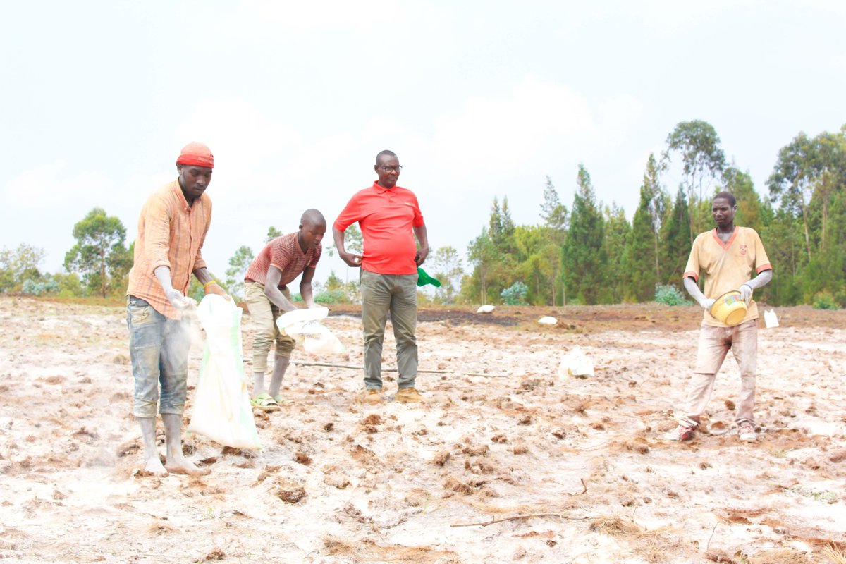 Fertilizer nutrients are essential for #food and nutrition security.

However, the impact of fertilizer, depending on its use, can be either positive or negative.  

How does #fertilizer contribute to #ClimateChange &amp; what is being done to prevent this?
:ifdc.org/2021/10/12/ask…