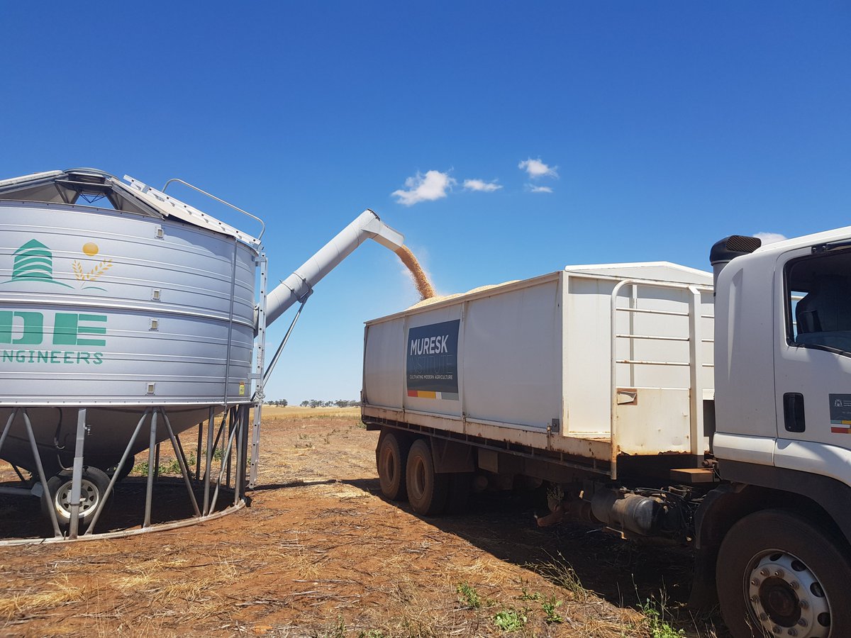 Muresk Institute tweet media