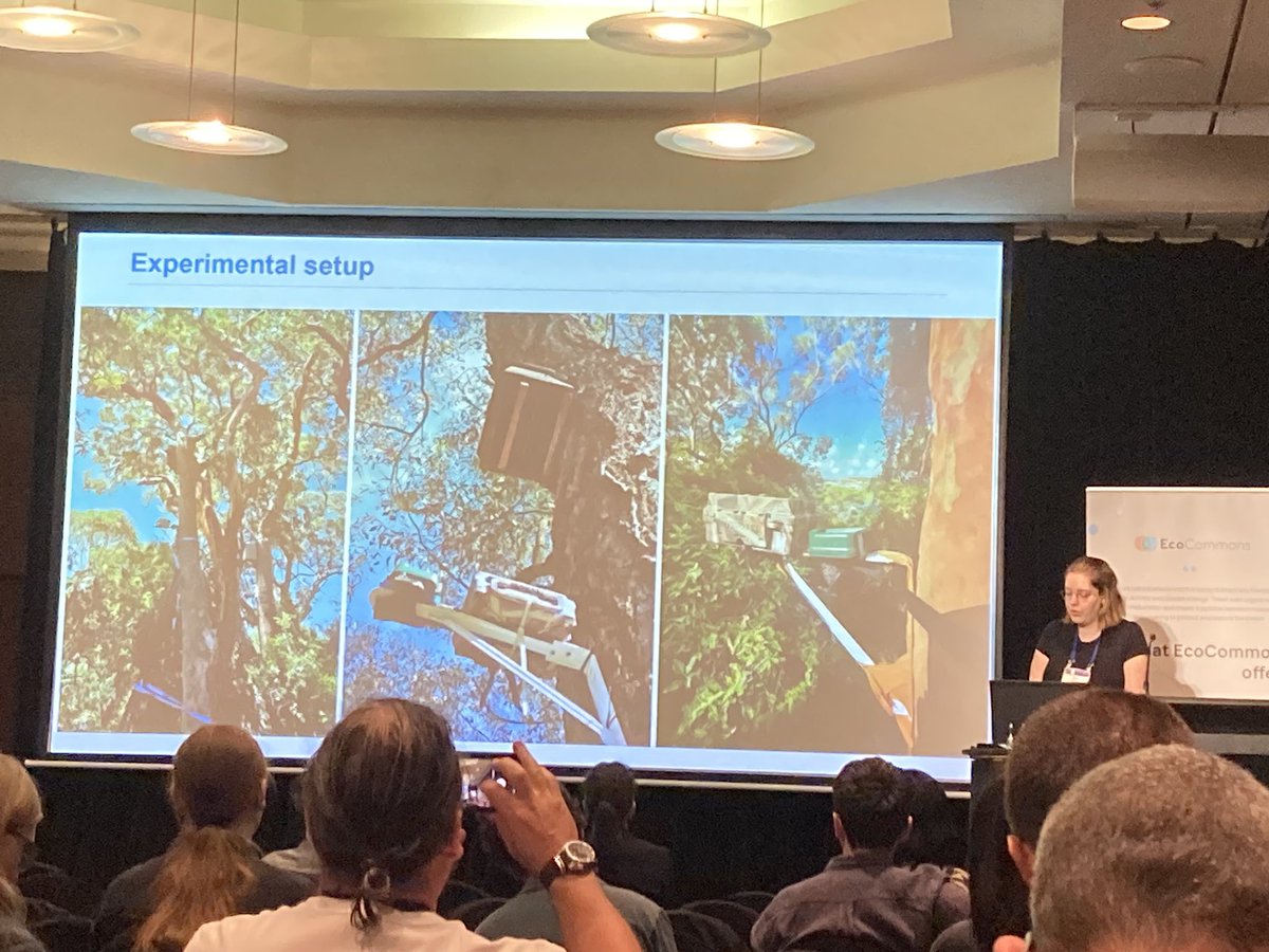 Olivia Breen 🌱 tweet media