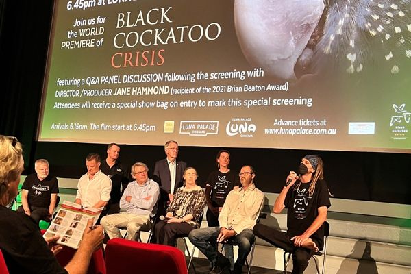 Murdoch University tweet media