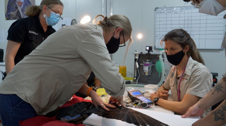 Murdoch University tweet media