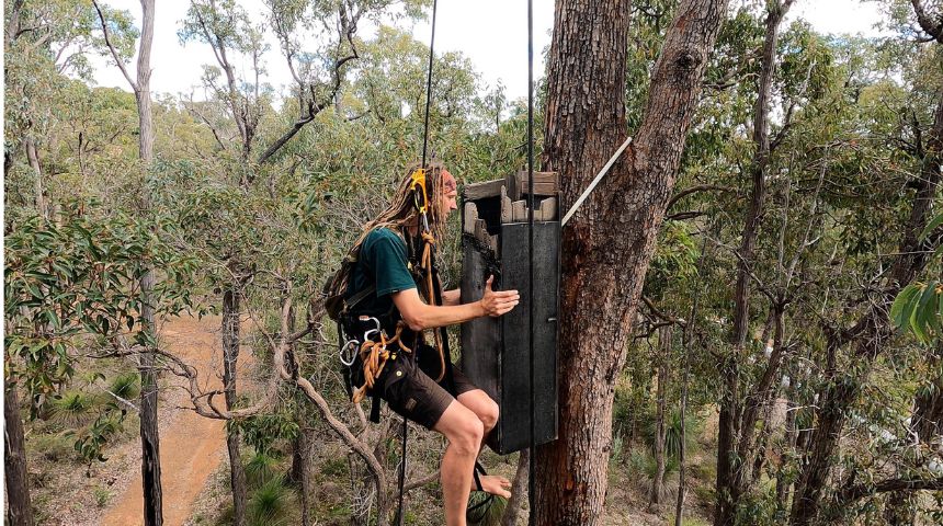 🤩The spotlight was on Murdoch's black cockatoo researchers at the world premiere of the documentary #BlackCockatooCrisis which features our critical research to save WA's iconic birds. Full story ➡️ loom.ly/baMwJ0c 🎬 @Aquila84WA @hearyanow #SaveTheBlackCockatoos