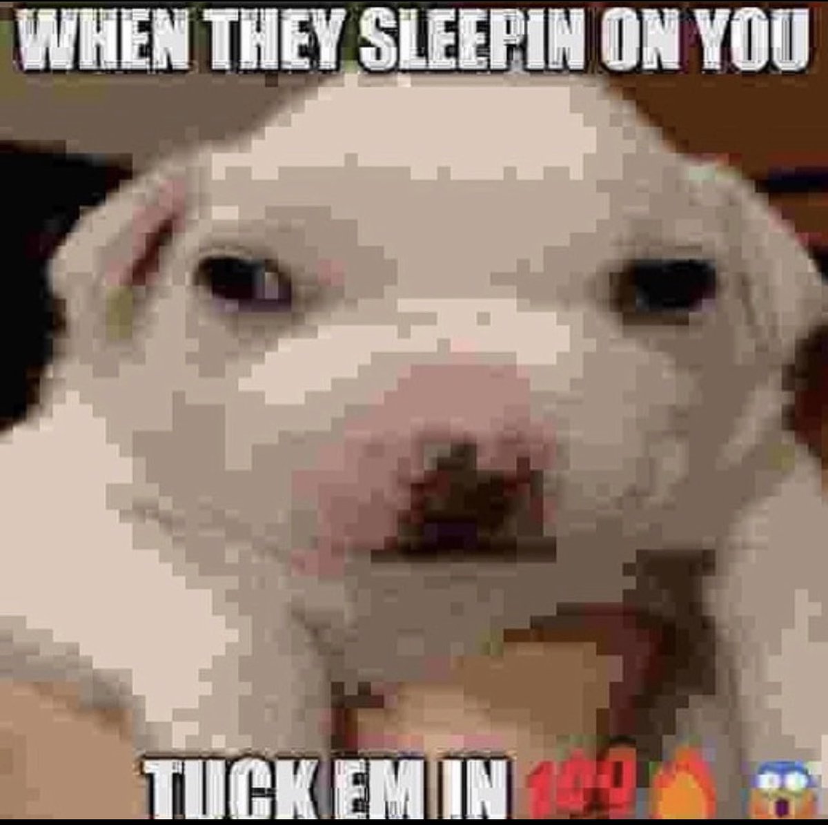 Sophia Burns on Twitter: "Goodnight"