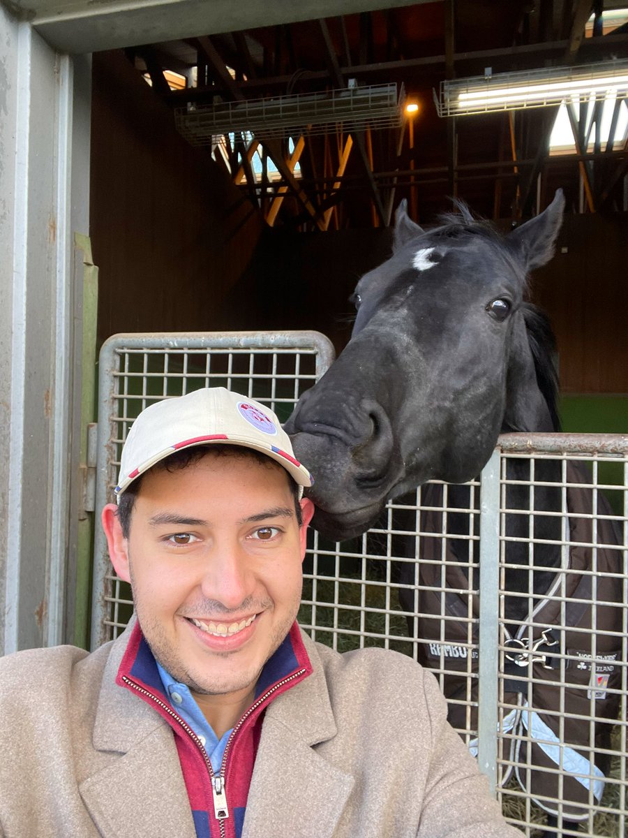 AndrewNJHawkins's tweet photo. What a day, visiting two of the most important sites in global horse racing - Shadai Stallion Station and Northern Farm 🇯🇵

@BreedersCup and @HKJC_Racing winner Loves Only You is thriving, as is Contrail, while old favourites Kitasan Black and Orfevre were quirky as ever! #競馬 https://t.co/gsCGOUy2YJ