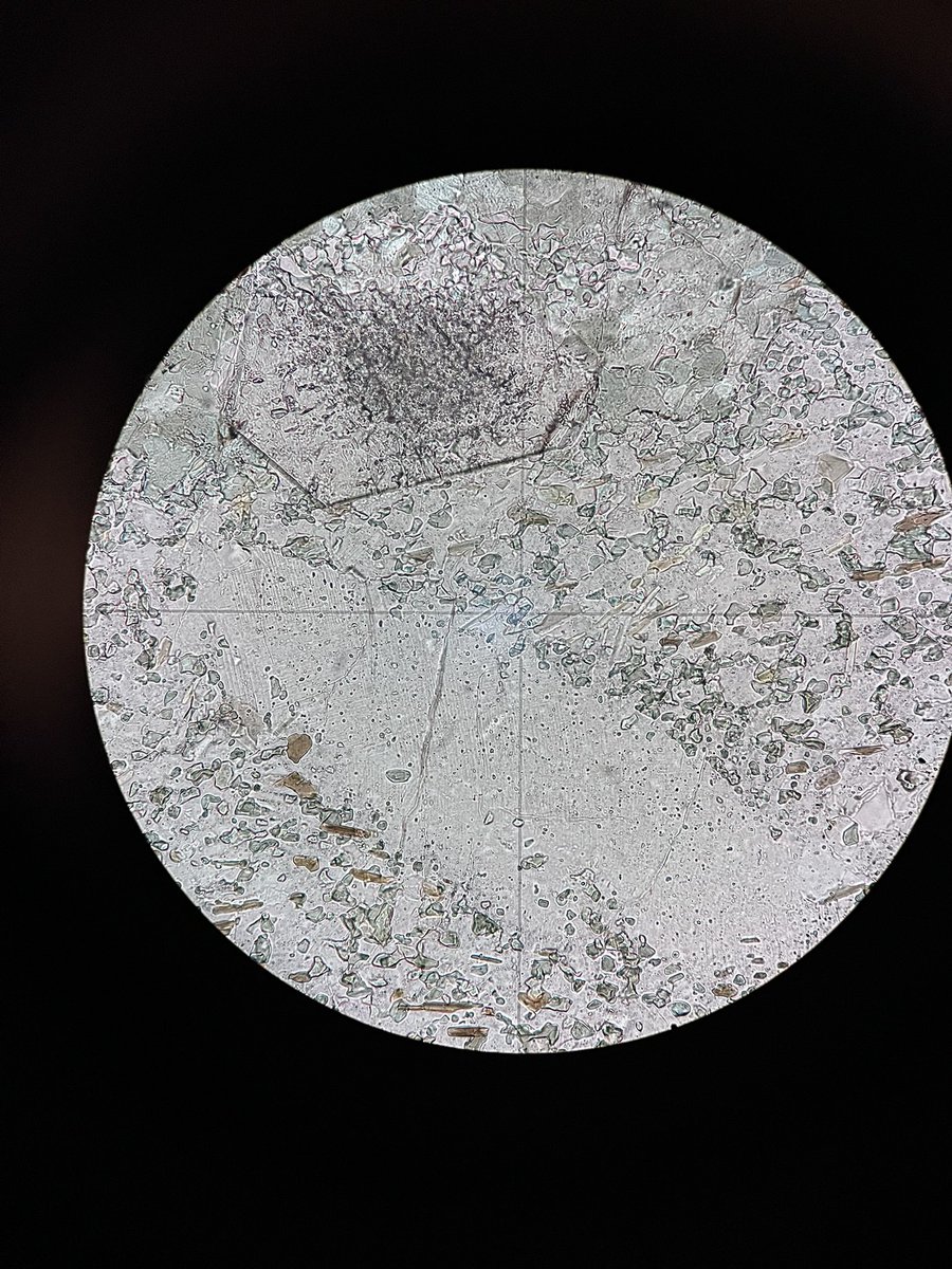 glgysteve's tweet photo. #ThinSectionThursday of beautiful deformation twins in a #plagioclase survivor clast from a Lofoten #pseudotachylyte and a garnet grown from a partially amphibolized #pyroxene + quartz. PST matrix is recryst plag amph and some biotite https://t.co/pEgGBWvp7K