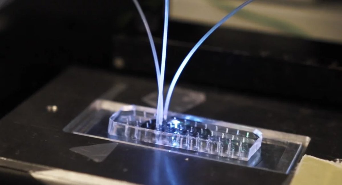 French Tech Bordeaux tweet media