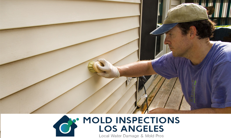 MIlosangeles's tweet photo. Severe #mold situations can cause a great deal of stress and concern. It can leave everyone inside of the property at risk of serious illness.

To fight back against mold is to make sure to take action earlier. https://t.co/5XSSF0qBqZ #MoldInspectionCompany #MoldTesting https://t.co/e7DDtKXCe1