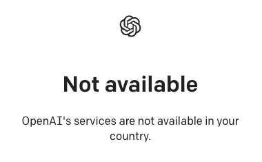 Turtle Media tweet media