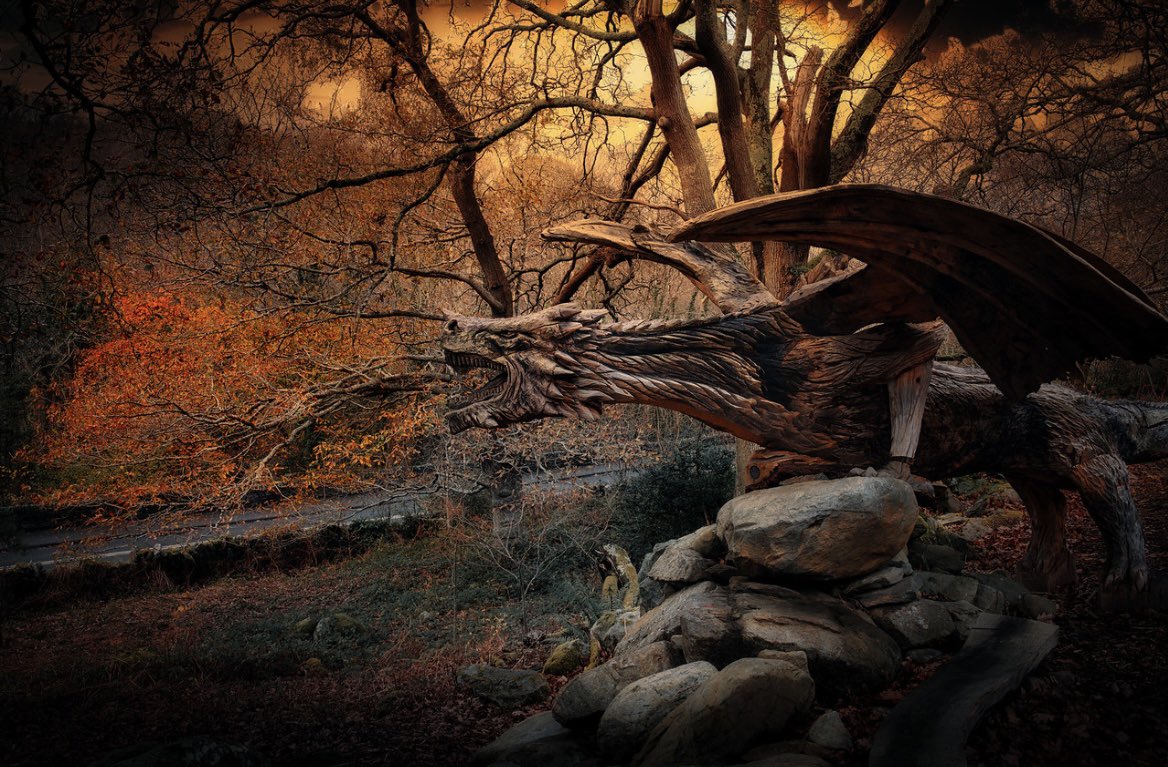 RealShanCothi's tweet image. Bore da! Sgwrs gyda Aled Lewis nesa ar Bore Cothi @BBCRadioCymru Ma fe wedi ennill gwobr ffotograffiaeth arbennig iawn #tirwedd Llongyfarchiadau mawr! Llunie bendigedig!! #borecothi