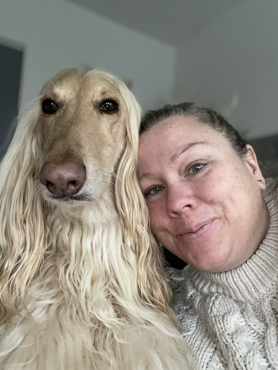 Here we are!! ❤️🐶❤️
Have a great day! 😊
Legolas, the Afghan Hound! 🥰
