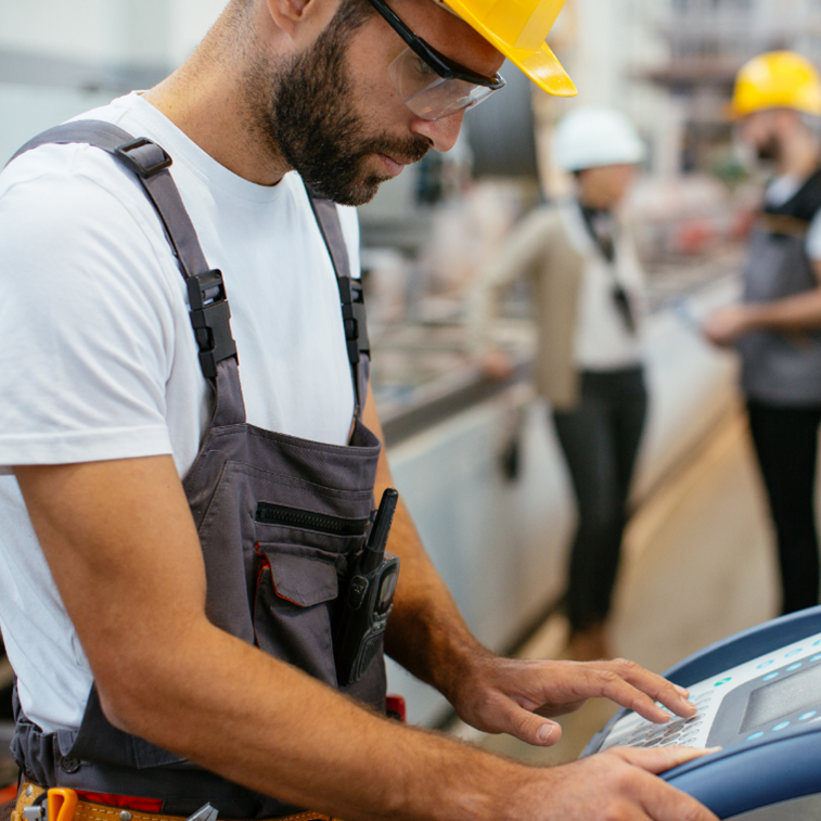 MANDALA Project tweet media