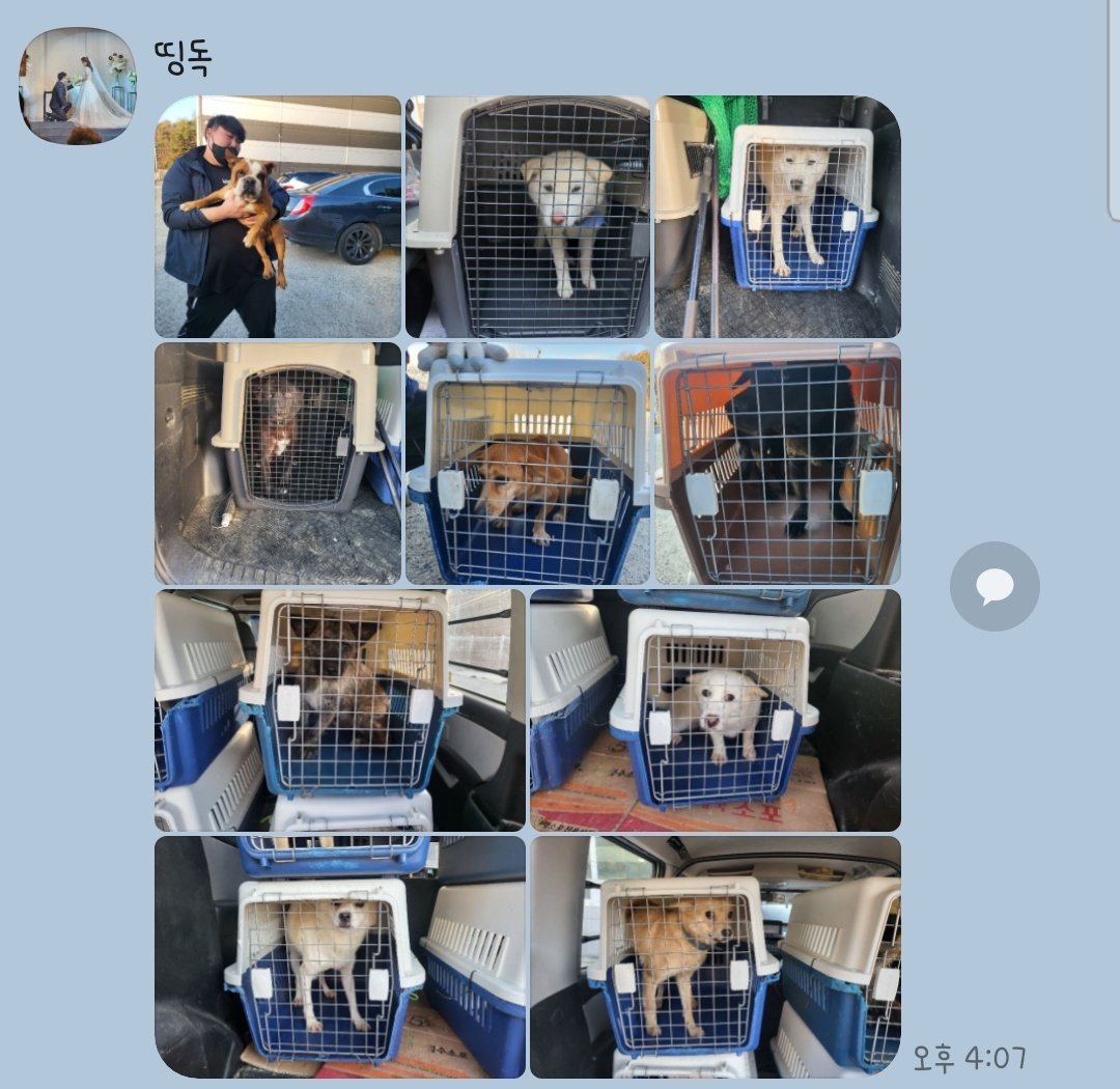 천만원. 모으기 위해. 어제 열 홍보해봅니다 
아직 650정도 부족한게 있네요 
오늘 덕분에 살린목숨이. 10

감사합니다 계속 힘을 내요

국민 엔젤프로젝트 469937 04 008881 천마넌모으기