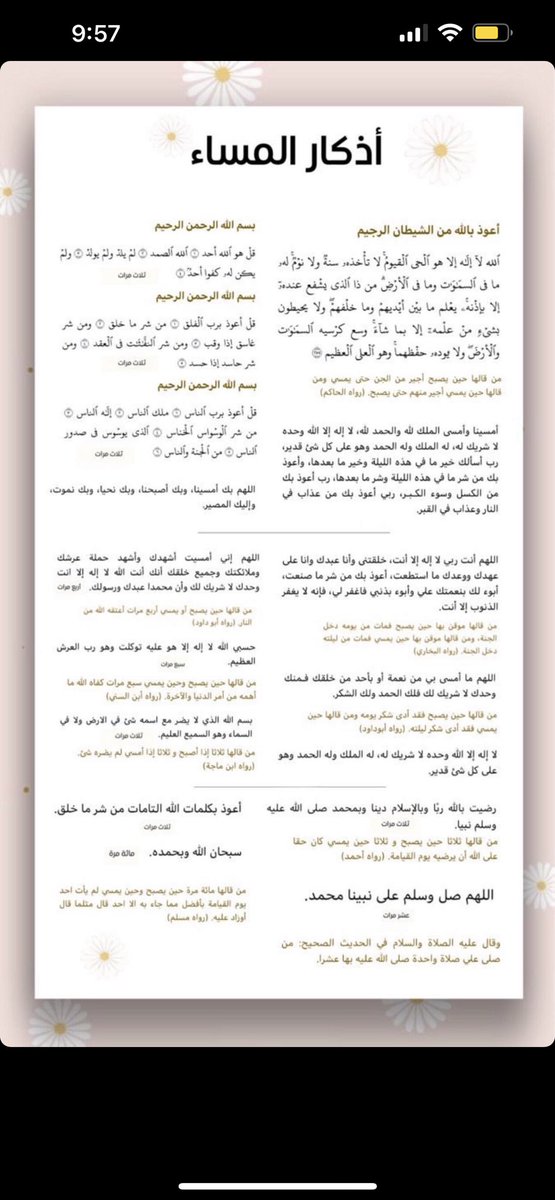 RaaIbrahim5's tweet photo. 🤍 https://t.co/eVIngyFAo4