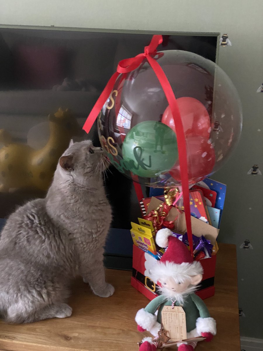 BalooClaude's tweet photo. I think I’m on the naughty list! 😼🎅🏼 https://t.co/dSYqr4SKcH