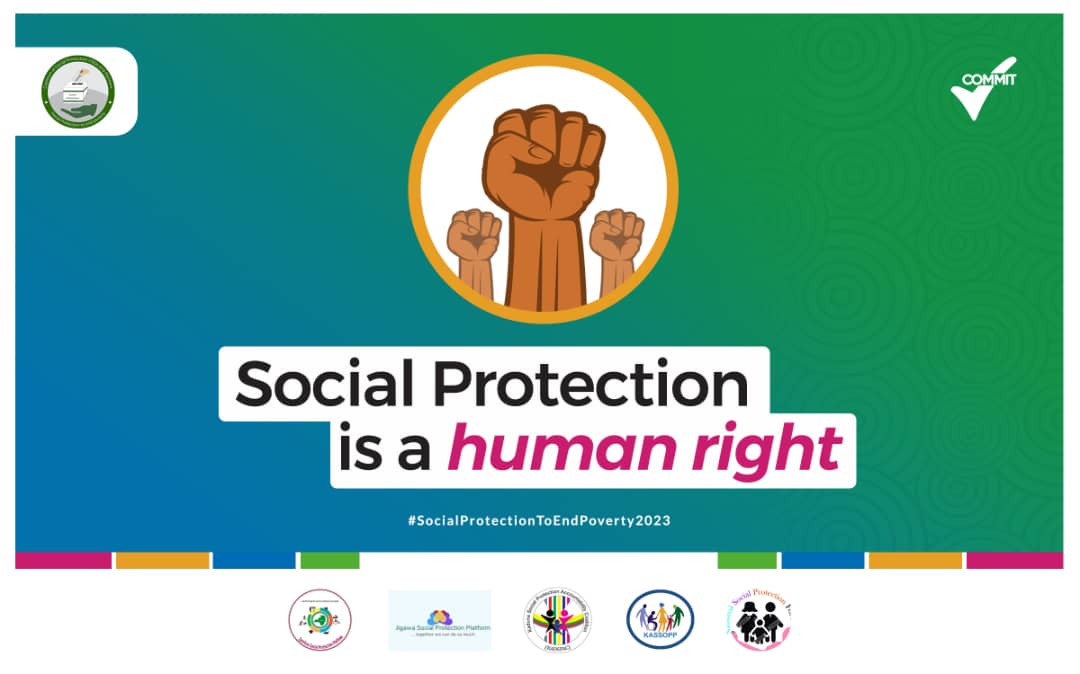 Network on Social Protection Advocacy in Nigeria tweet media