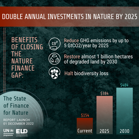 foes_news's tweet photo. Time to act! Todays #FinanceforNature report by @UNEP @ELD_Initiative shows: need to double private and public investments by 2025 to reduce GHG emissions, restore ecosystems &amp; halt #biodiversity loss. We’re happy to contribute two case studies!
👉https://t.co/ax2XDOv4MT https://t.co/ZbwBeVBgBY