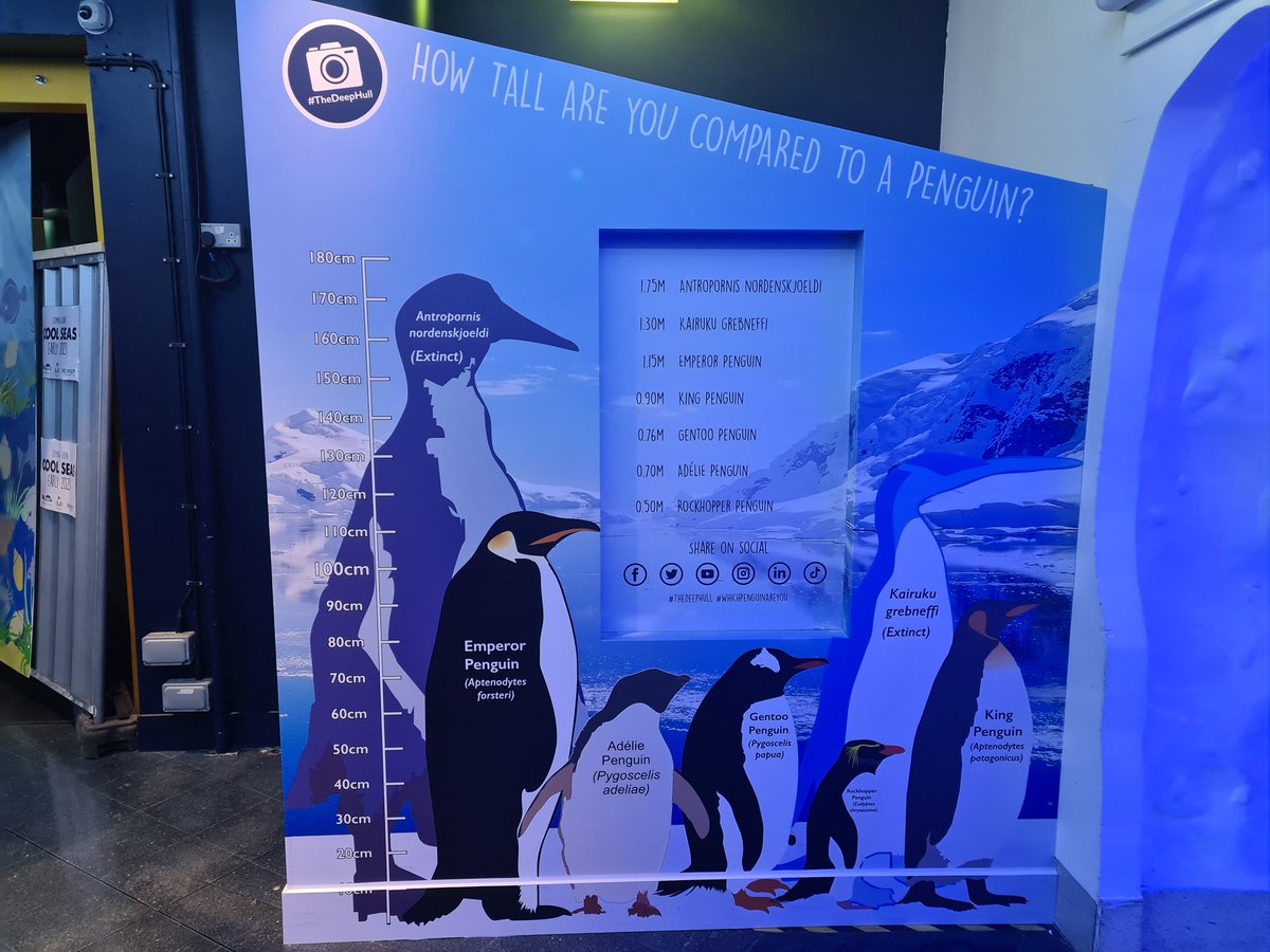 KatyDukeShark's tweet image. Happy Antarctica Day! It's the start of #PolarFest @TheDeepHull
