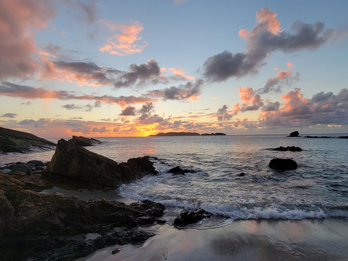 Nick Niesen tweet media