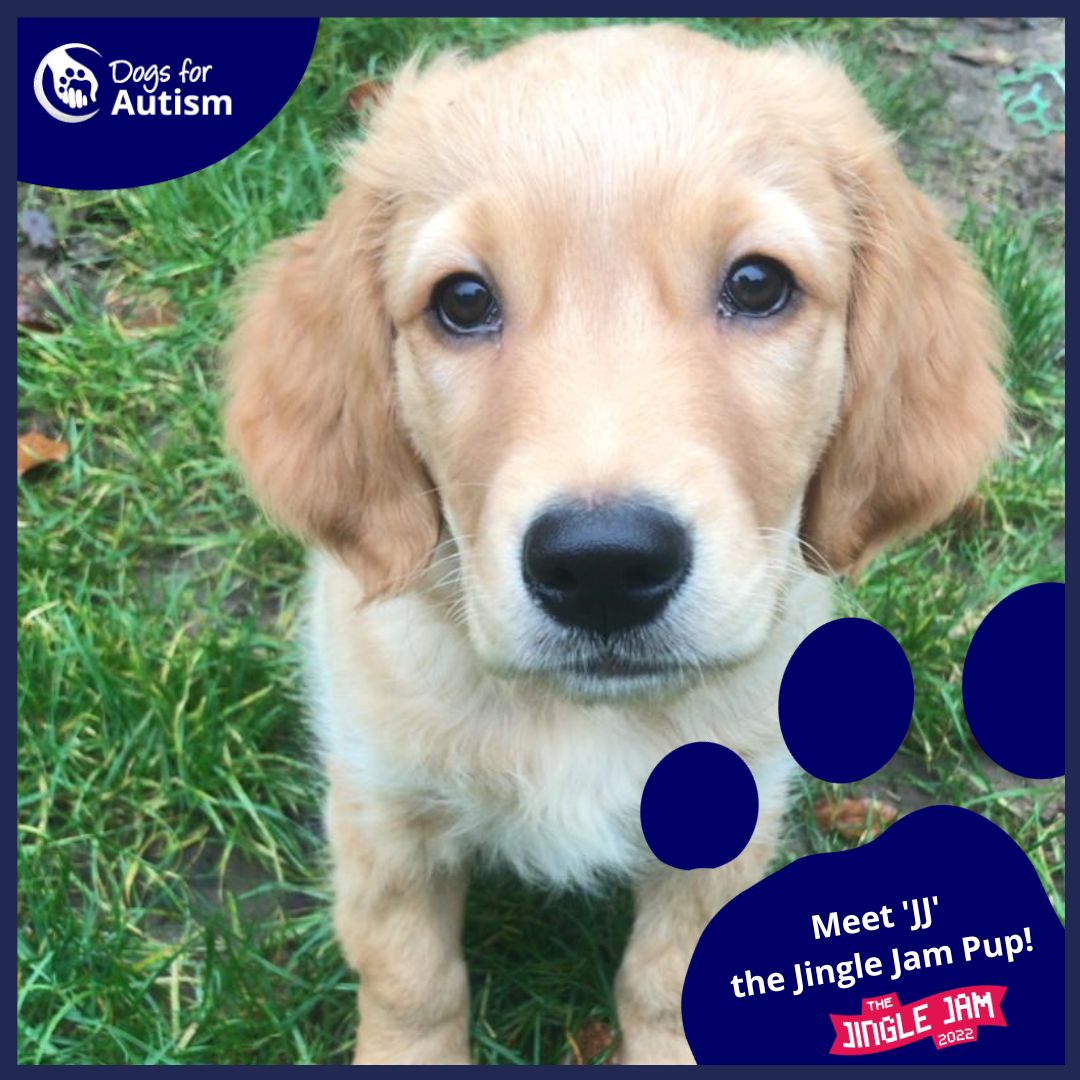 dogs_autism's tweet photo. What is @jinglejam? 🎅

Jingle Jam is a fundraising extravaganza and an opportunity to buy an adult friend who enjoys online gaming the ultimate gift for only £35! 🎮

#JingleJam2022 starts tonight at 5pm! 🌟

Watch on https://t.co/qCV7MasfAR 

Or https://t.co/XnIA8d6k9L #gaming https://t.co/T5r4L7N6DL