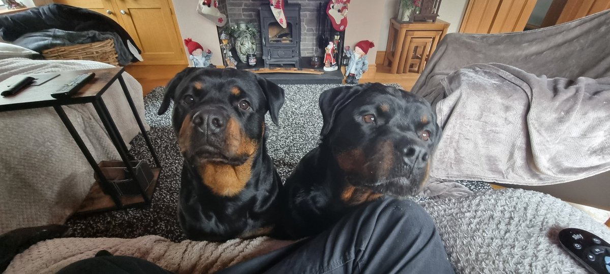 Randombob18's tweet photo. Guess who has food? https://t.co/55b6lFTrkz
