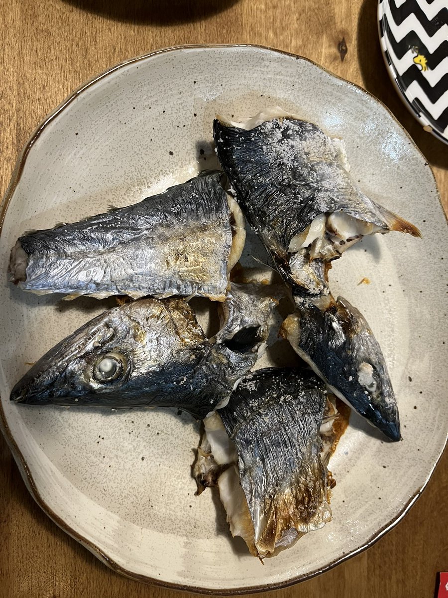 take38nao's tweet photo. 仕事帰りに3本！
ヤズ2（会社の同僚に）
サゴシ1食べました！

季節の変わり目！
クソ寒いけど、頑張りました！

日頃の行い^_^ https://t.co/jROjeMAg6S