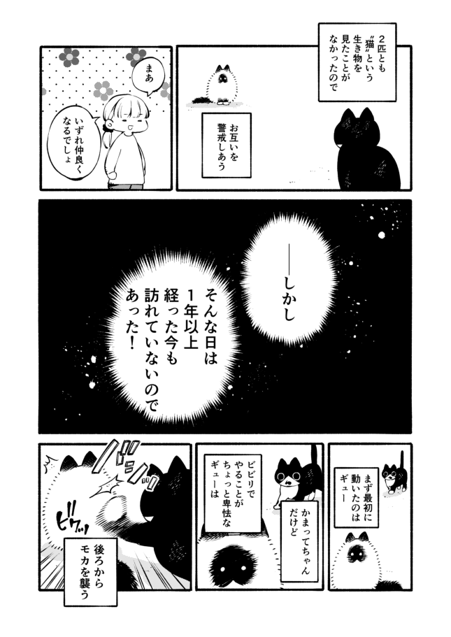 猫を2匹飼ったら自然と仲良くなると思っていた時期が私にもありました(1/2) 