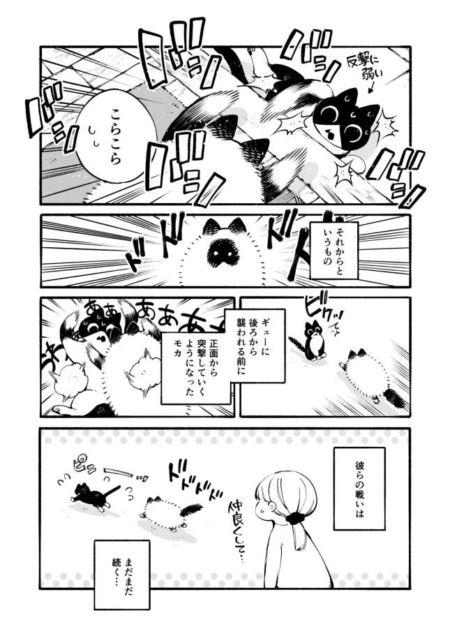 (2/2) 