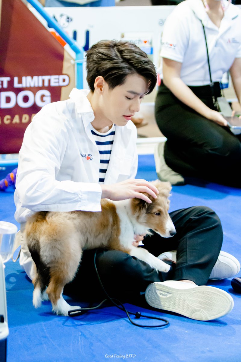 GoodFeelingBKPP's tweet photo. พี่กิ้นเขานั่งจุ่มลูบหัวน้องอยู่นานมาก #monchouxBKPP https://t.co/vNkZRNN3AS