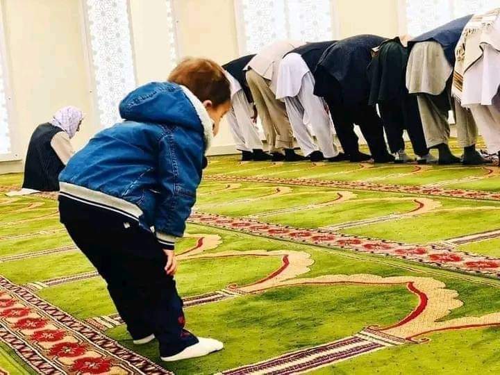 لمونځ  په قبر کې
د انســــان لپاره څـراغ ده
حضرت محمد(ﷺ)

💐🥰
@TTPmujahid22 
<a href="/IslamicRelief/">Islamic Relief USA</a> 
@safi_sahib4