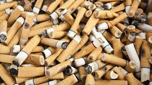 ziauddinislam's tweet photo. #cigarette butts are widely known to be the single most littered item on earth, and these are not biodegradable. @GovtofPakistan needs to be a party to the #UNglobal plastics treaty. #Pakistan should ban the use of filters to ciagrette butts.#PlasticsTreaty @FCTCofficial https://t.co/Y5v4TsWUmF