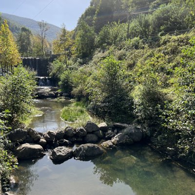 kickerbrown's tweet photo. #NewProfilePic https://t.co/5NeEVv79zR
