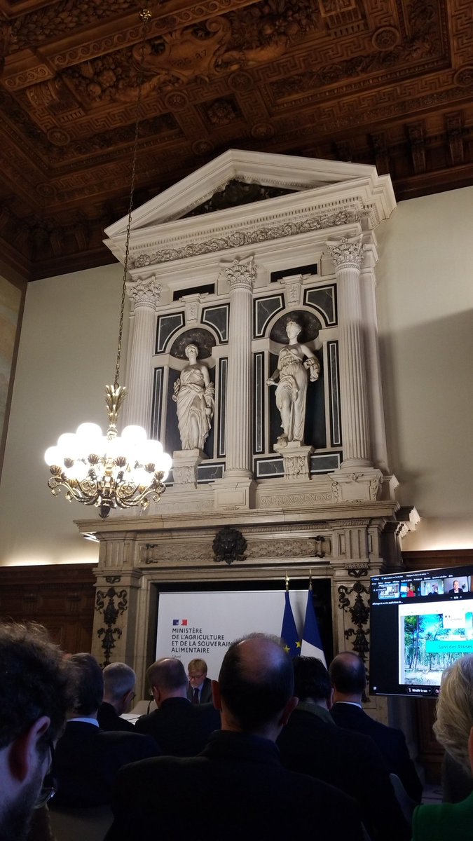 En direct du Conseil sup Forêt-Bois, annonce de <a href="/ChristopheBechu/">Christophe Béchu</a> : encadrement des coupes rases, eco-conditionnalites des aides à la plantation. Pour "Planter sans se planter", un vrai débat démocratique doit se tenir. #transitionecologiqueforestiere 
<a href="/WWF_Pol/">WWF Pol</a>