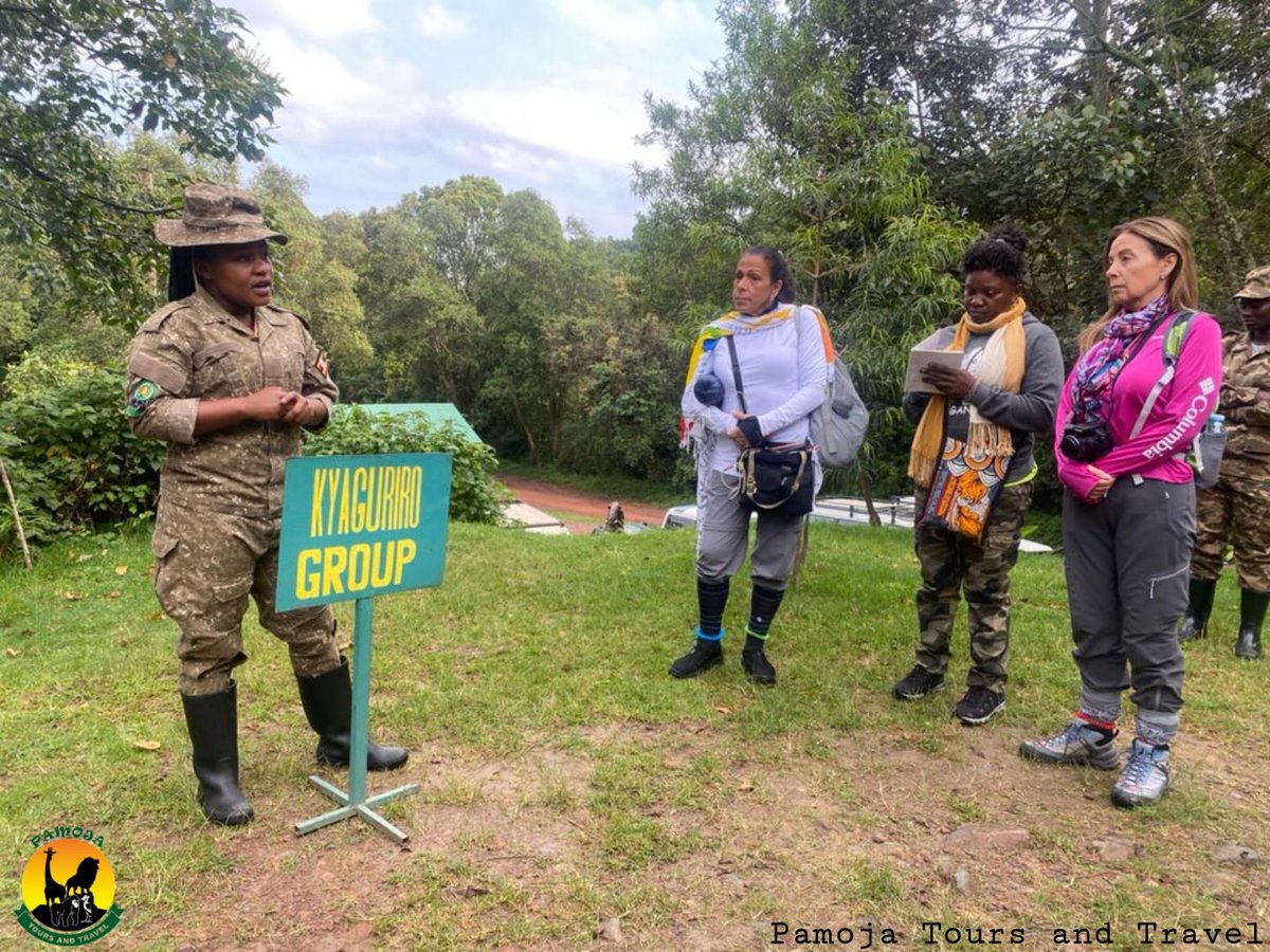 PamojaTours's tweet photo. Earlier today morning, we’ve had a briefing before starting our trekking to see the endangered mountain gorillas 🦍
#gorillaz #mountaingorilla #ruhija #buhoma #nkuringo #rushaga 
@gorillamistcamp 

📹 by @AmosTheGuide 

🔗 https://t.co/KfUrJekxxz
📧pamojatoursandtravel@gmail.com https://t.co/wtEhZd5p60