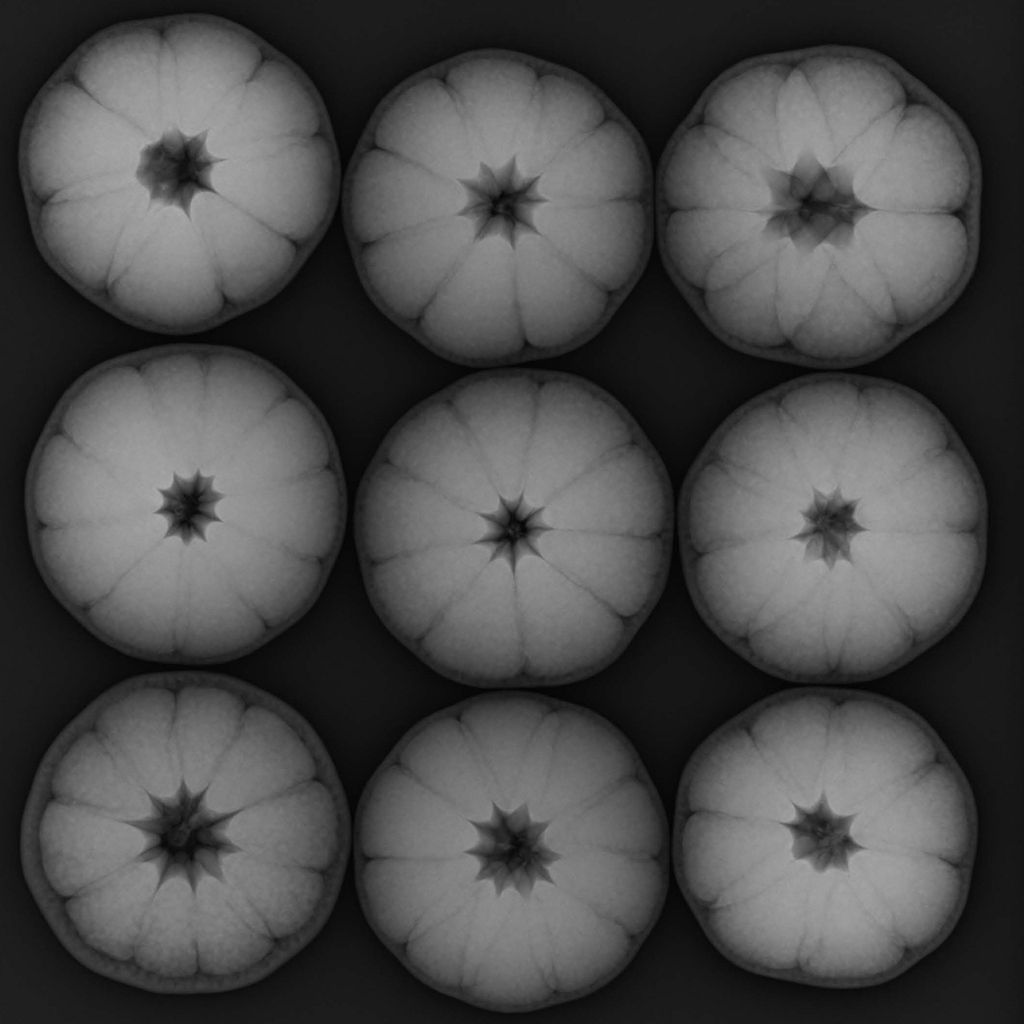UoS Diagnostic Radiography tweet media