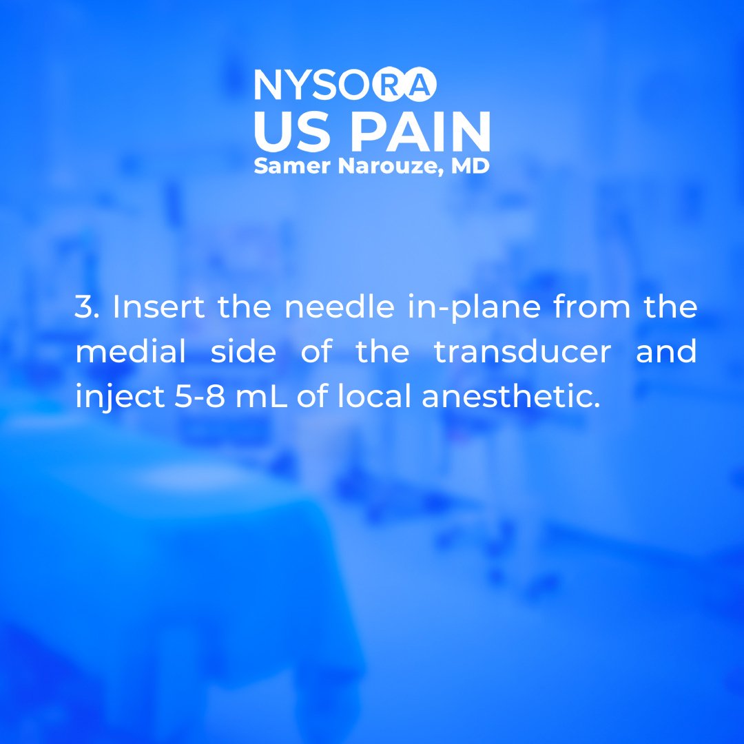 NYSORA's tweet photo. How to ensure the success of a suprascapular #NerveBlock? We want to share with you 3 tips. In NYSORA US Pain app, you will get the complete guide to #ultrasound-guided chronic #PainBlocks: https://t.co/GRaTUyHjNR
#medtwitter https://t.co/NGZy99tAjn