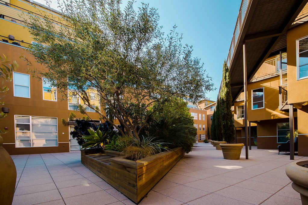 ByGlodon's tweet photo. Designing a small garden isn't always easy—but the constraints of a site's space can inspire endless creativity. When smaller indoor and outdoor areas feel crowded, the best way to make them feel larger is to visually connect them. https://t.co/VeaKw2e2g8