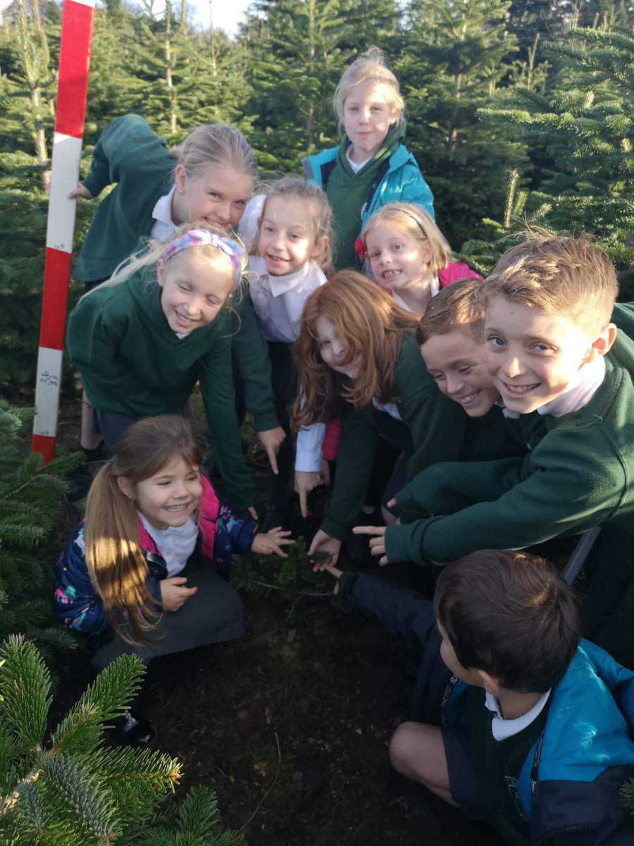 TheMillCornwall's tweet photo. Team Christmas have made the all important decision! They travelled to Santa Trees to choose and cut down our school Christmas Tree! #BringDecorations! 💚 https://t.co/Mc6NfC3tOG