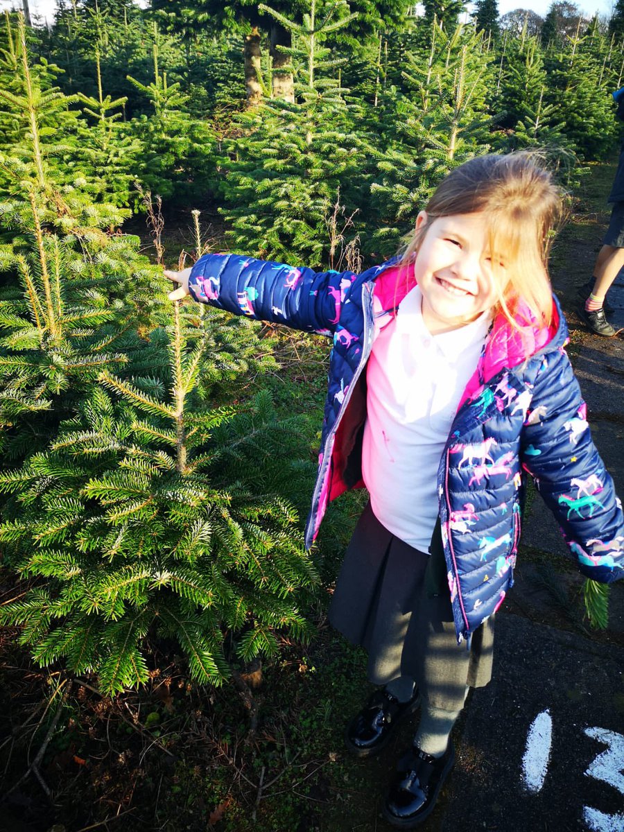 TheMillCornwall's tweet photo. Team Christmas have made the all important decision! They travelled to Santa Trees to choose and cut down our school Christmas Tree! #BringDecorations! 💚 https://t.co/Mc6NfC3tOG