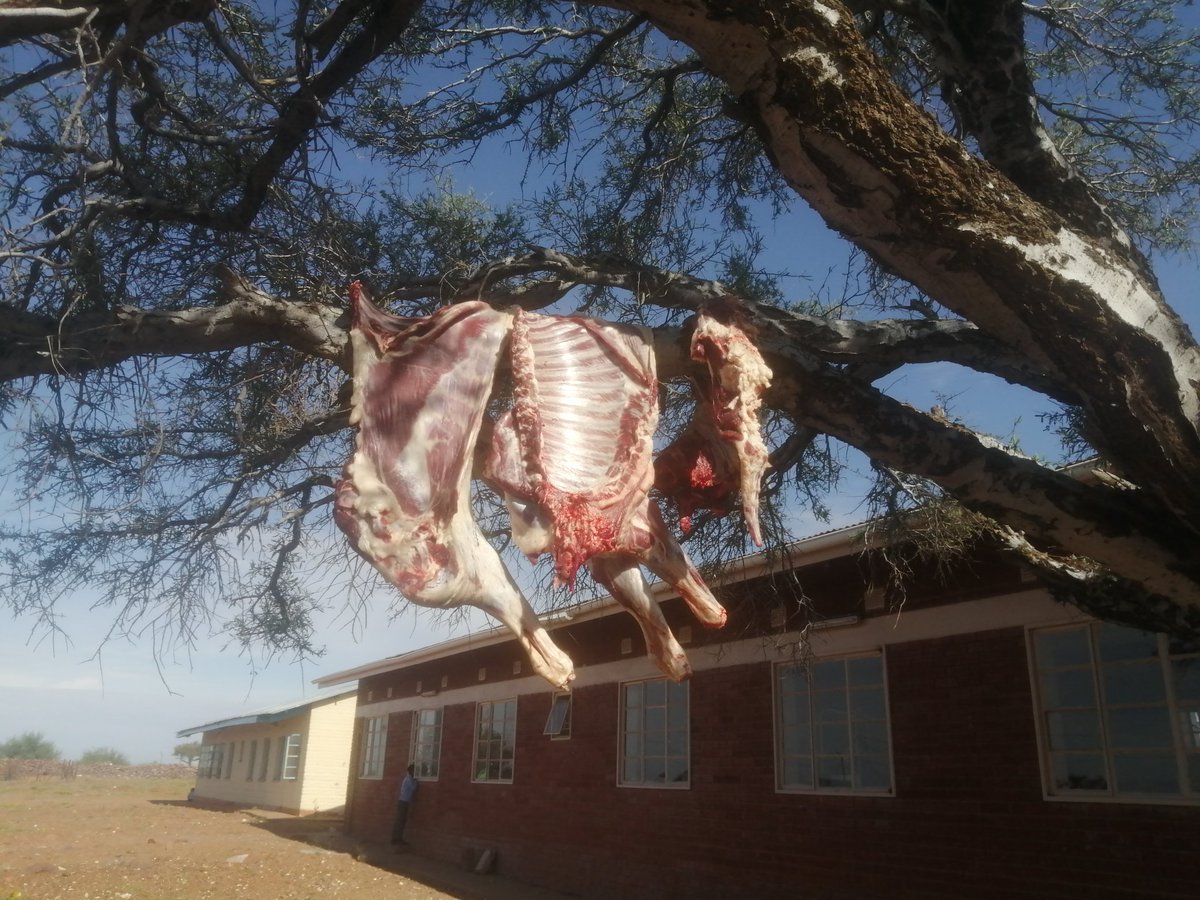 December ntate❤️